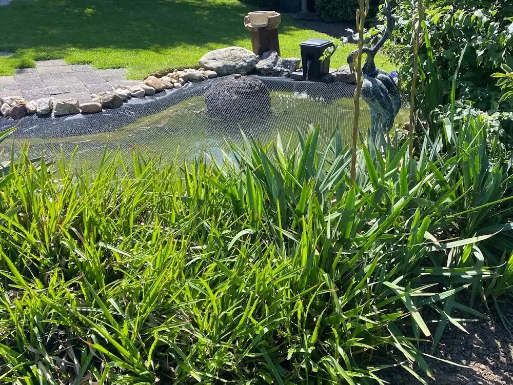 Gepflegter Vorgarten mit Gräsern und Teich